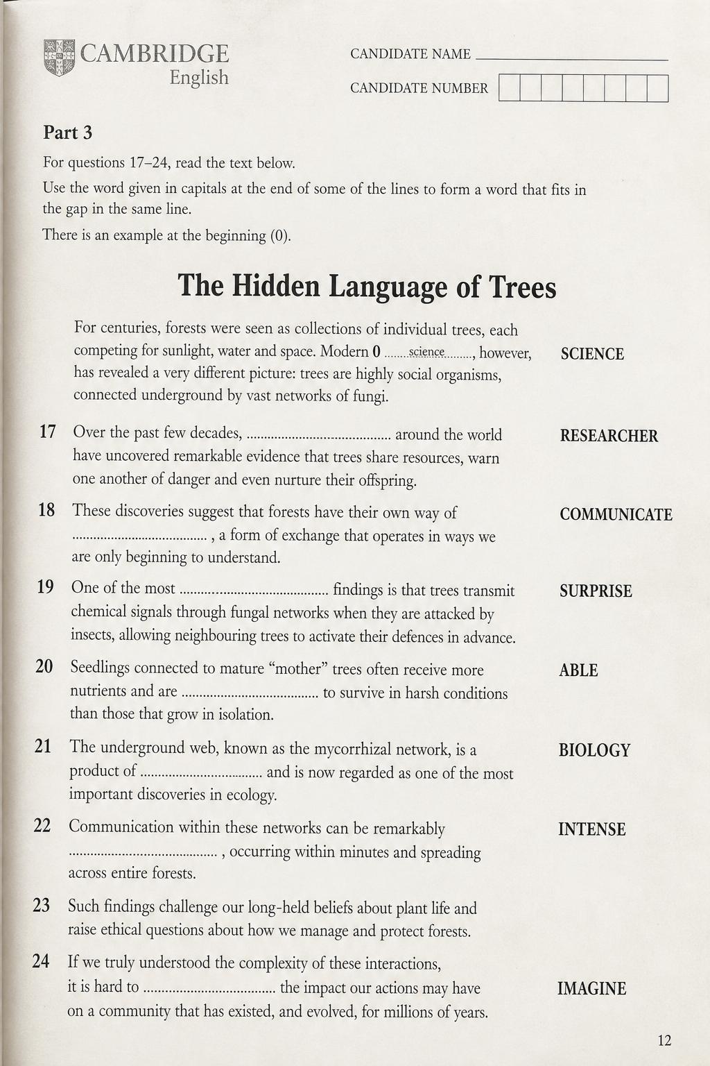 Mock Cambridge C2 Proficiency Reading and Use of English Part 3 page on 'The Hidden Language of Trees', showing eight numbered word-formation gaps with capitalised root words.